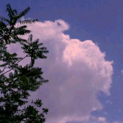 纳兰容若：西风多少恨，吹不散眉弯